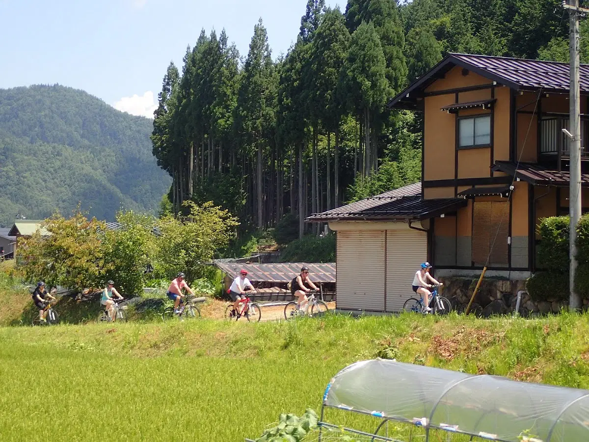 2b1bb59a-844a-4481-9898-66368defde77