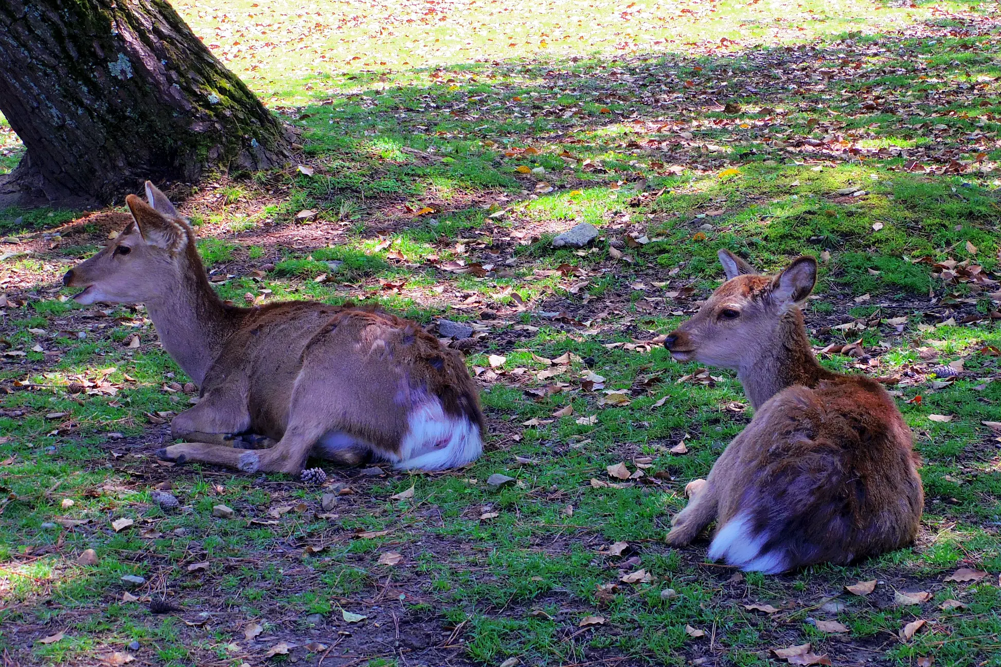 30519f54-3089-48d7-b5d8-8a2530ba2c51