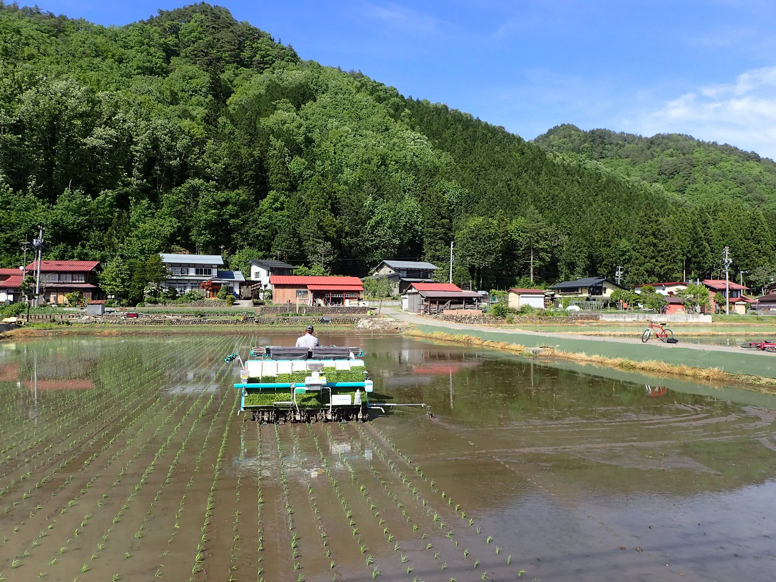 3a91753b-d1a0-4be5-be79-e24178313ff4