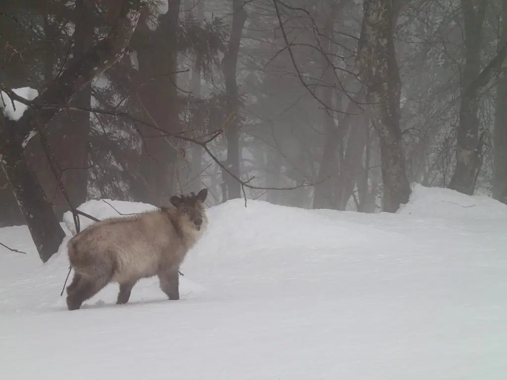 3ea6a536-96fb-4ff7-b571-2728d3bd156e