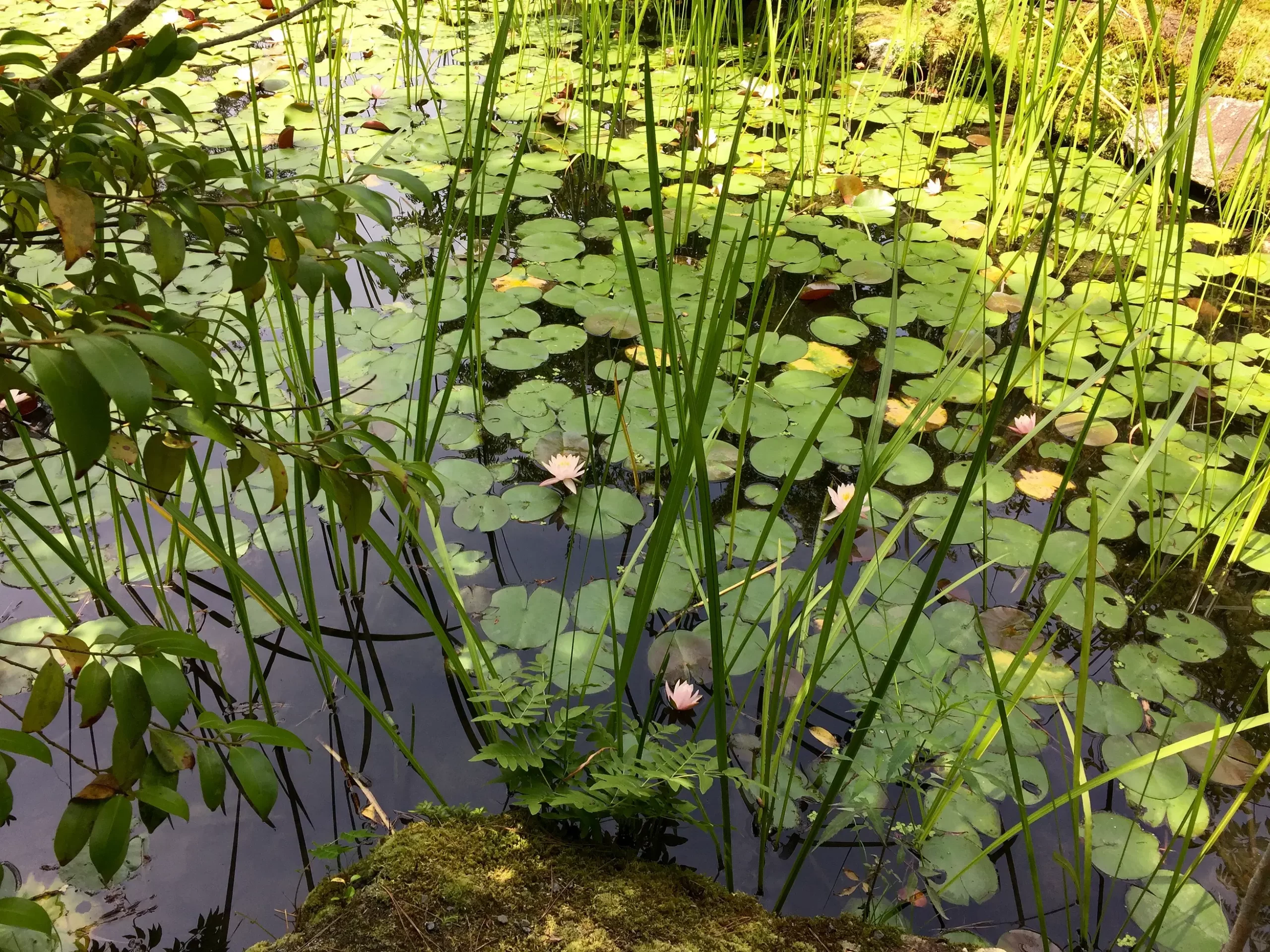 4c4b3fb2-bb3b-4298-a17b-1aa957eb8c34