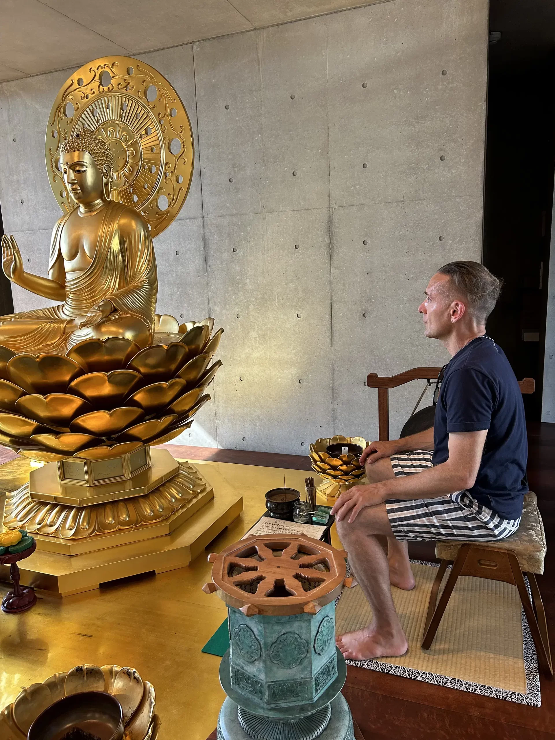 50856298-0182-4612-b4da-0bbf49e591d3