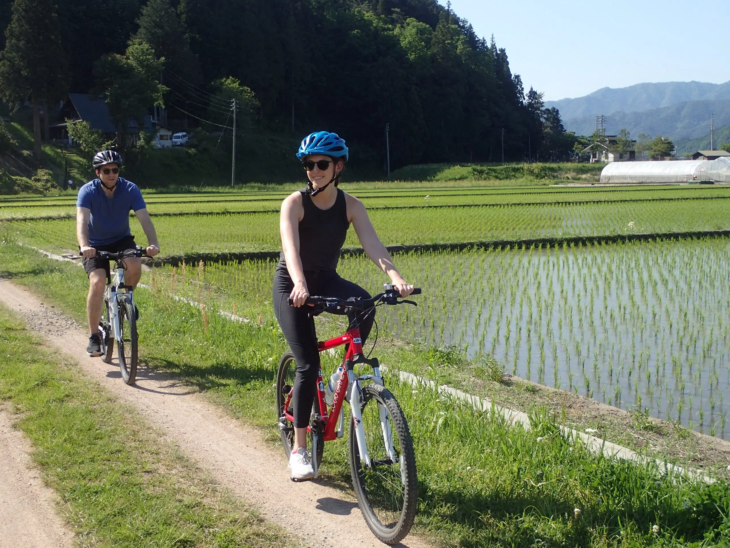 600df743-90ab-4dcf-9edc-bab13000c65e