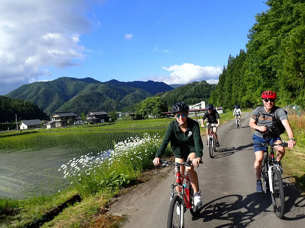 70eefae2-ac7d-43d1-9db3-cbf528e29d35