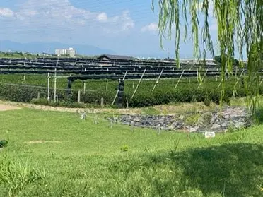 893020ac-764d-4c34-8bfd-f2c78a8d13a7