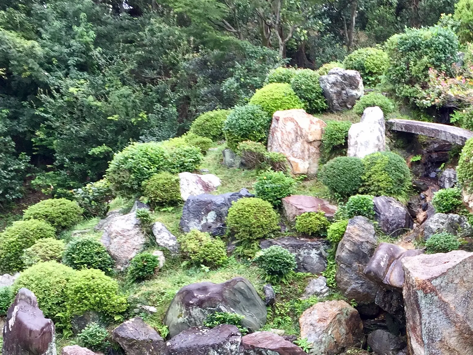 996a34a0-83e3-4353-82d1-edc58d8cc322