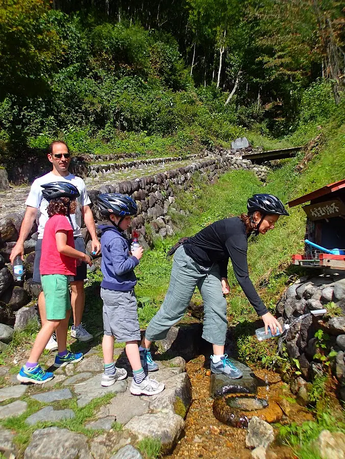 ac00178c-3e4e-417d-a3f2-a71307f92a74