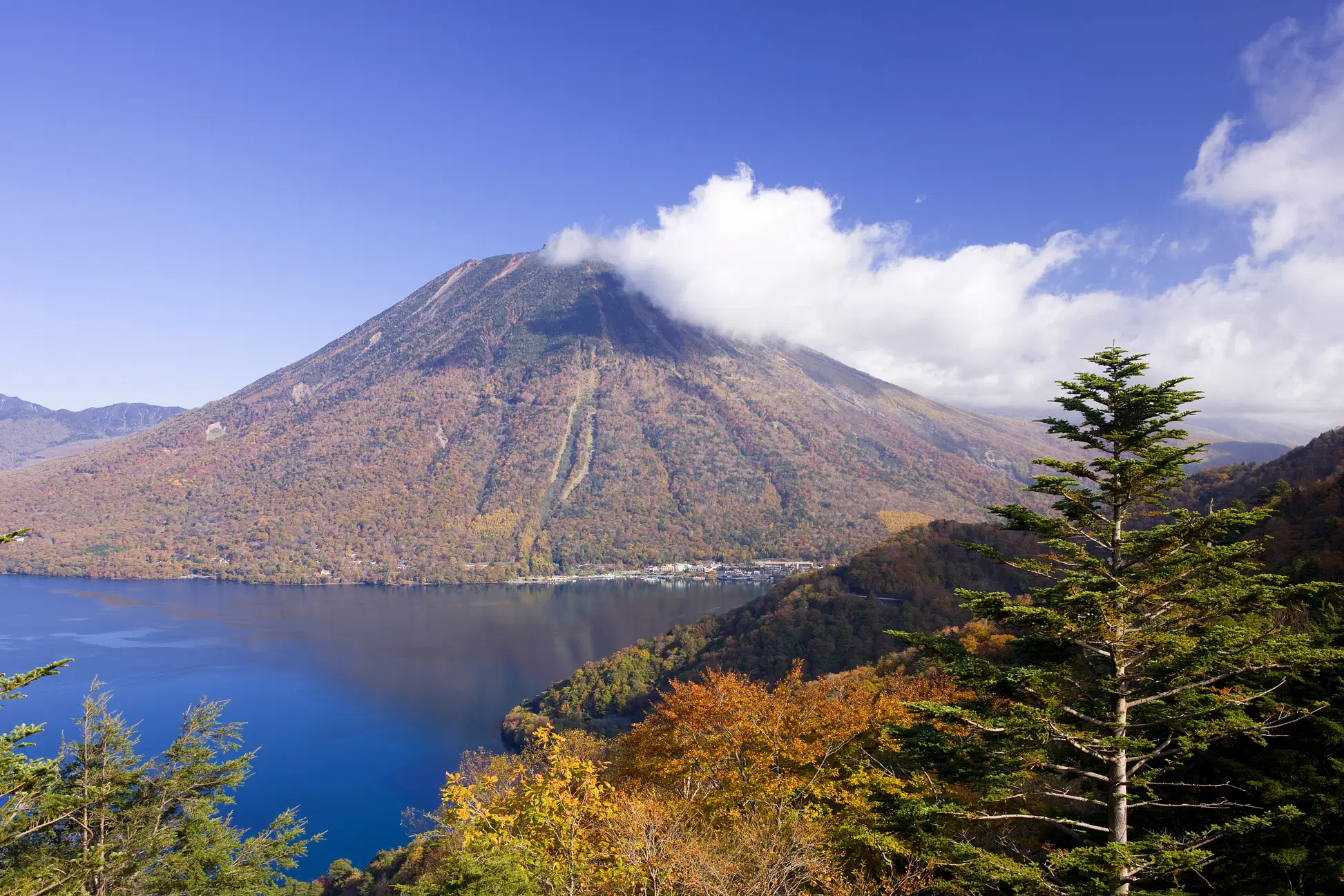 c1a9d674-16ea-44f0-900f-87274f052a63