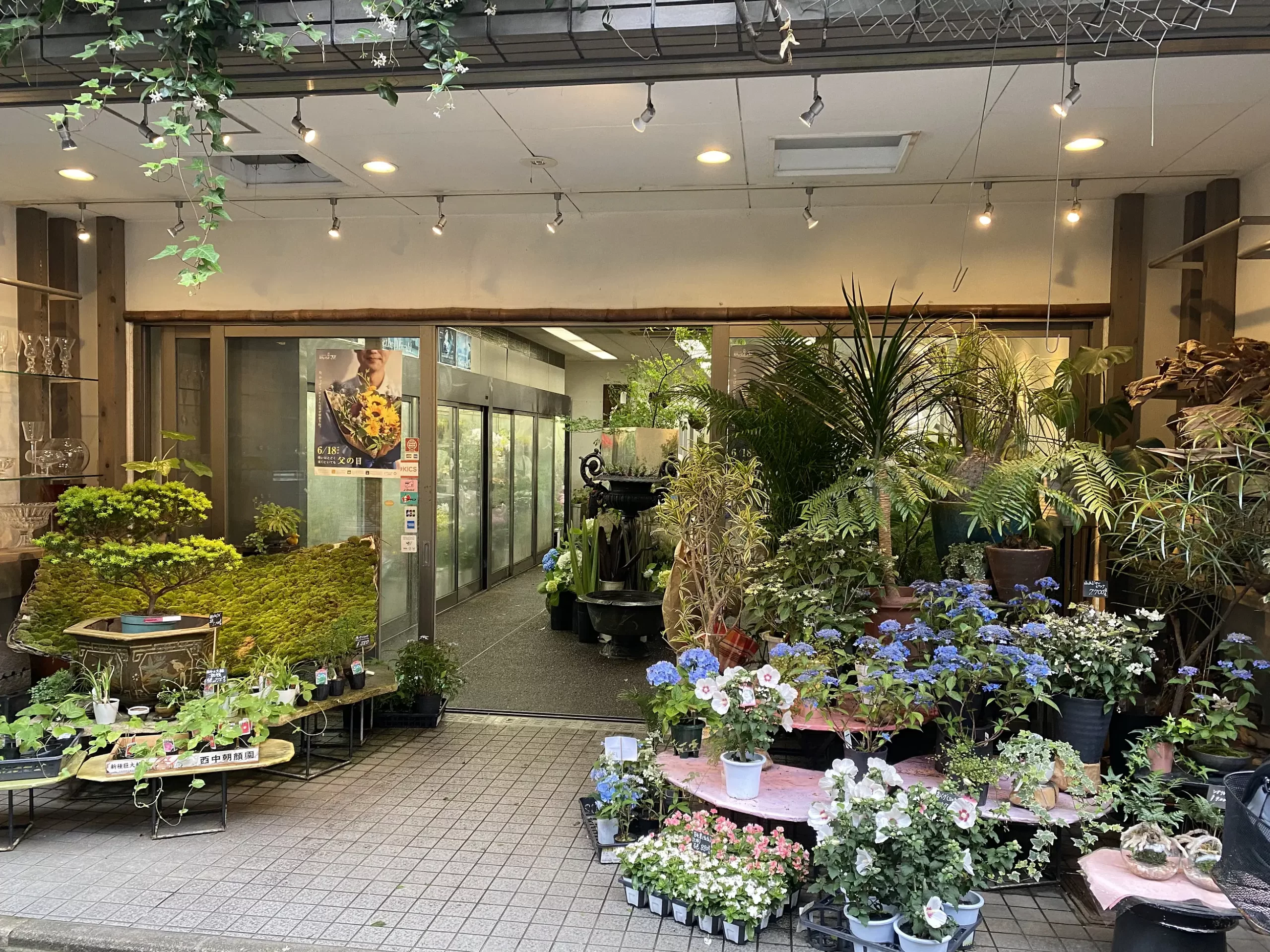 c9af9ad0-839a-44eb-8d37-4ade98a8c2aa