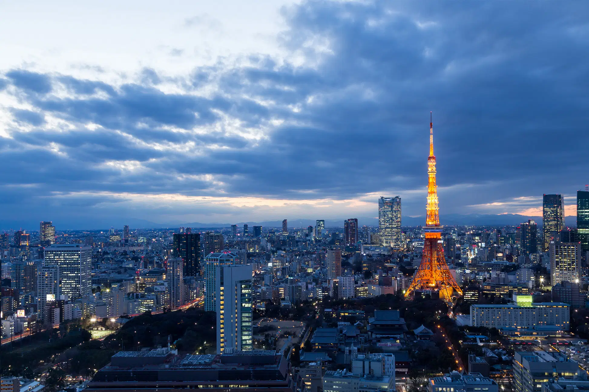 cc920d2b-cf72-4b36-a03a-6f407f865789