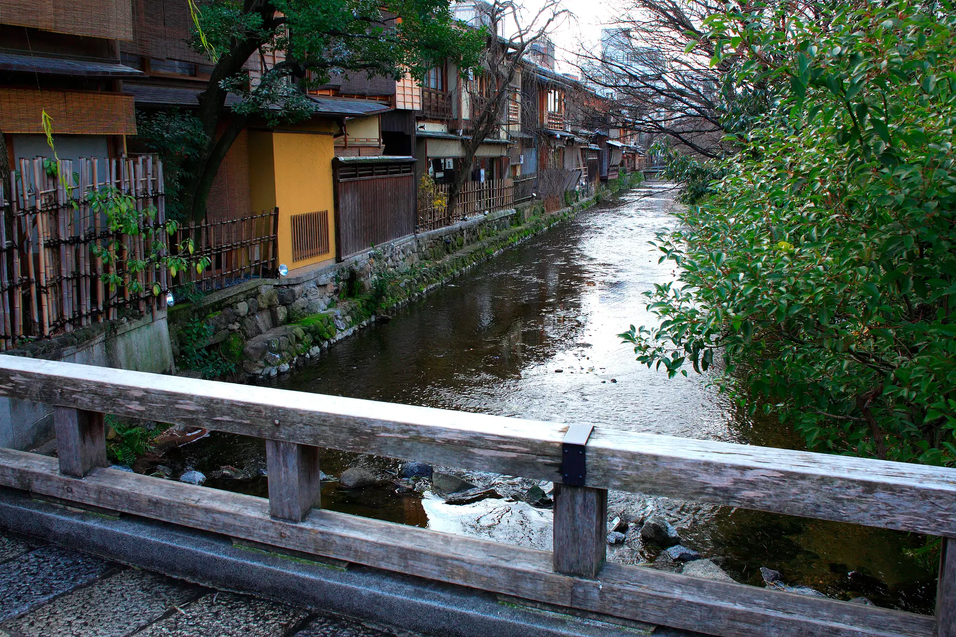 d58bb3de-ecc4-4707-baa6-772eef370b10