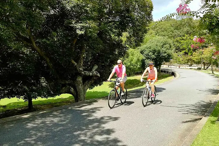 0377991e-80b2-4510-b52f-eda5180e056a