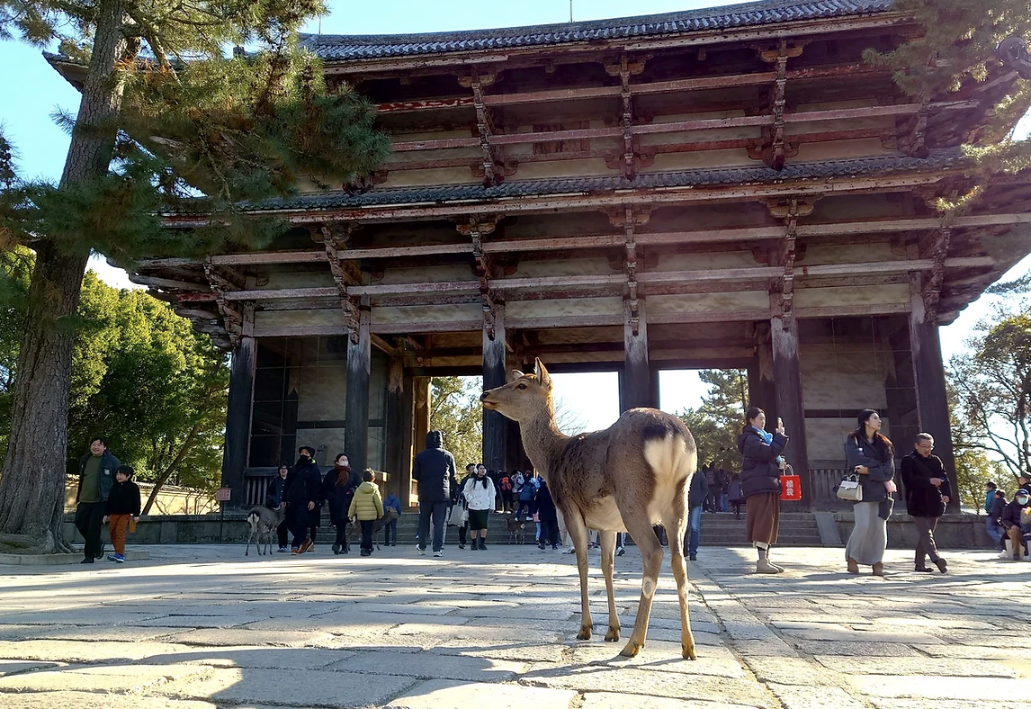 Screenshot 2025-04-03 at 14.02.58