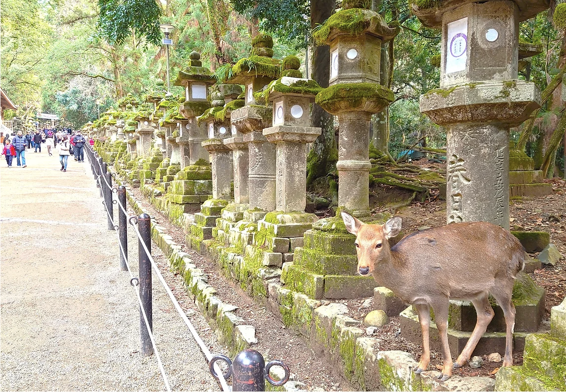 Screenshot 2025-04-03 at 14.03.48