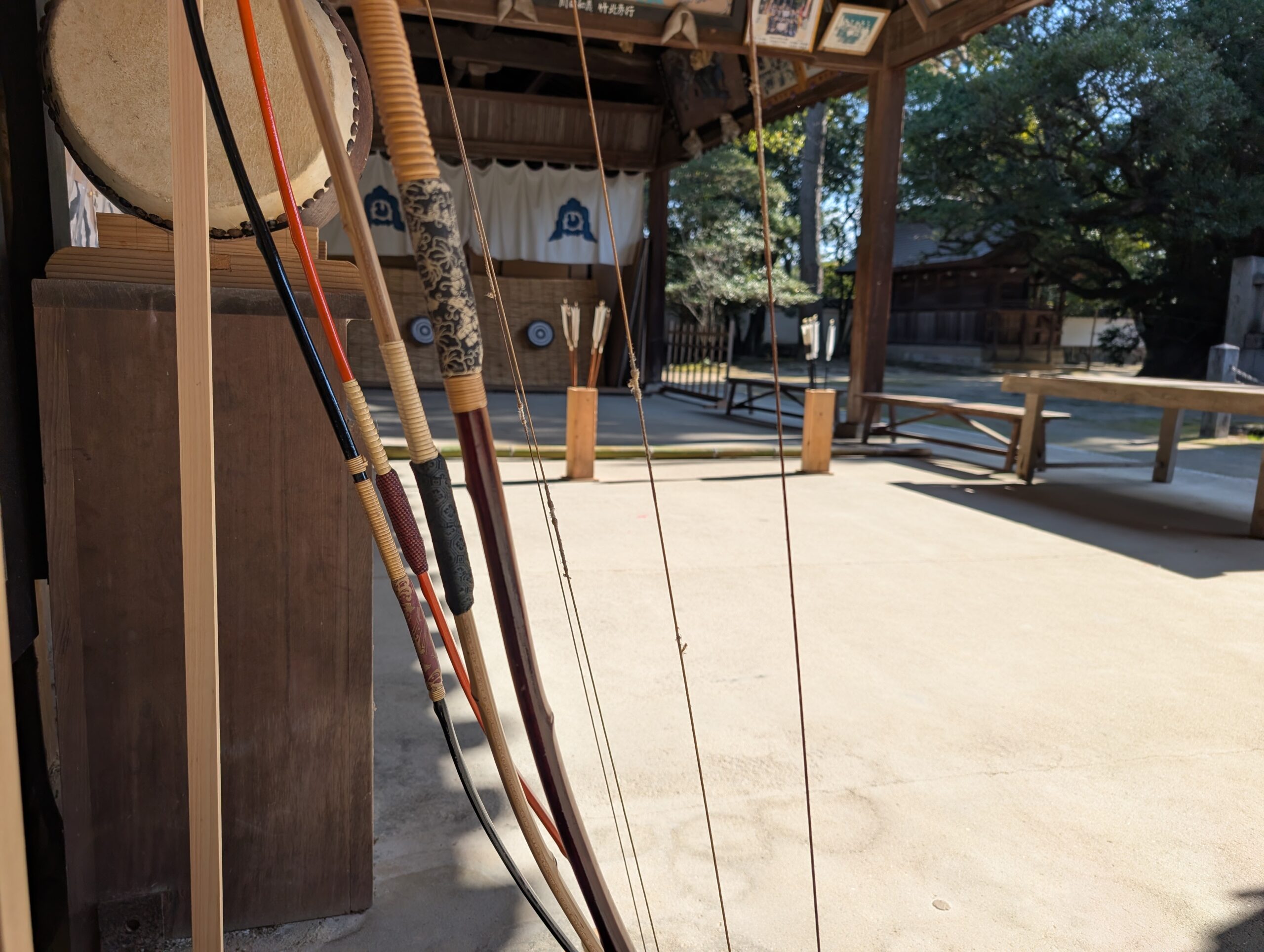 PXL_20241221_022630490