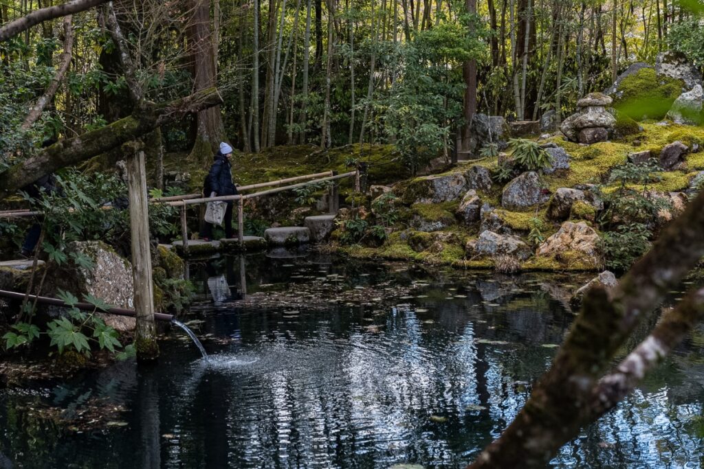 Travelers carefully crossing a rustic stone bridge over a quiet pond surrounded by a bamboo grove on a Kyoto private culture tour.