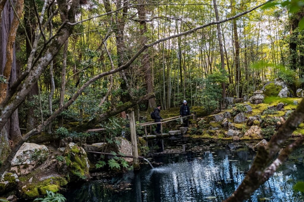 A glassy, tranquil reflection pond with water lilies and dense surrounding trees, showcasing raw Zen elements on a curated Kyoto private culture tour.