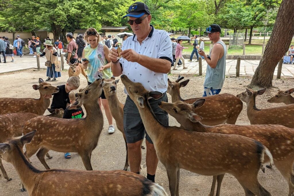 A man is hand-feeding wild deer with other visitors watching nearby on our private Nara E-bike tour