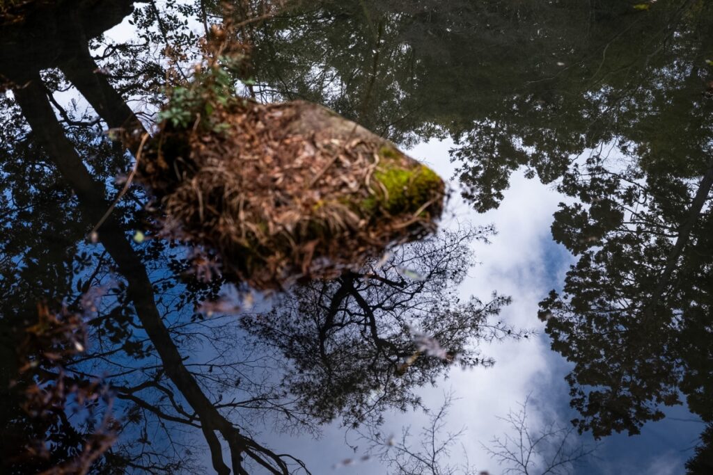 An artistic reflection of a mossy stone, blue sky, and tree silhouettes on the water’s surface, captured during a Kyoto private culture tour.