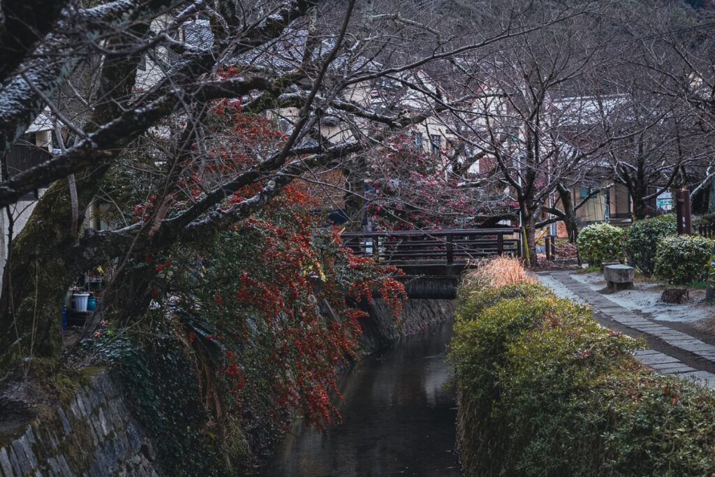A quiet pond and moss-covered rock garden featuring a stone bridge, captured during an immersive Kyoto private culture tour focusing on Zen philosophy.