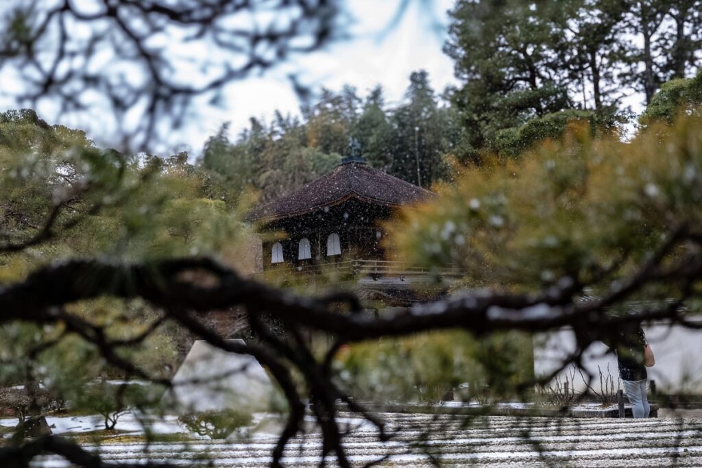 The iconic wooden pavilion of Ginkaku-ji framed by pine branches under light snow, highlighting wabi-sabi aesthetics on the Kyoto private culture tour.