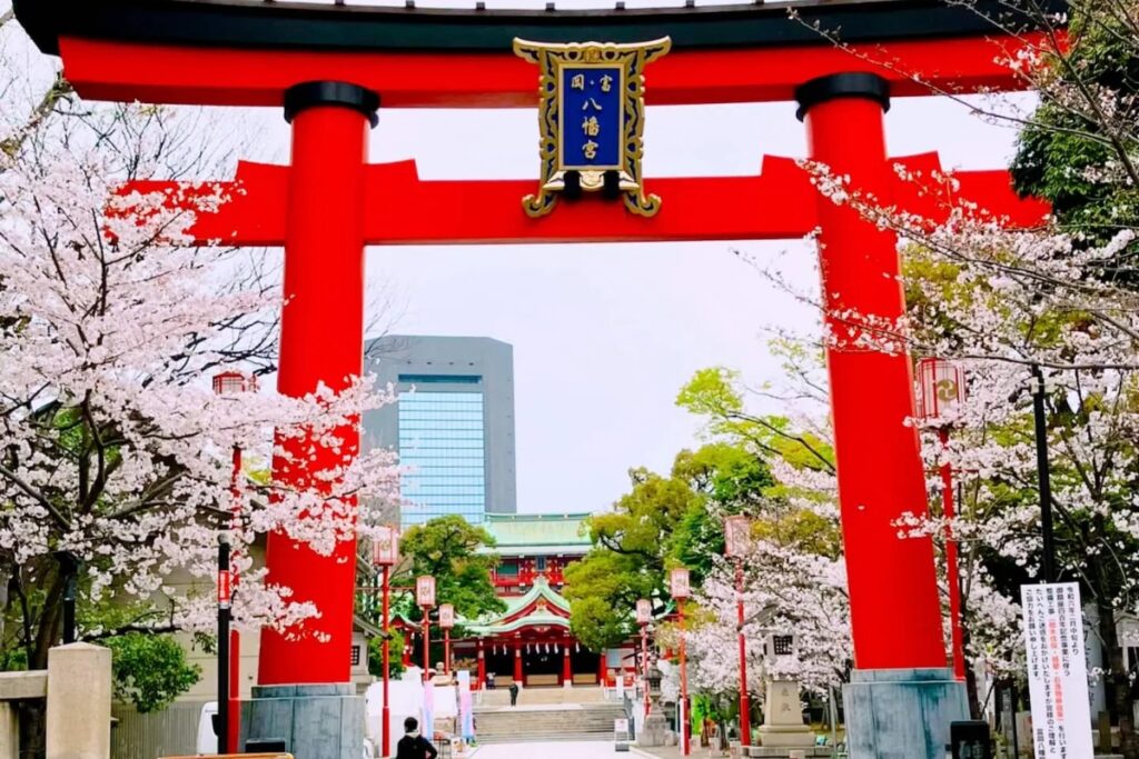 Grand red torii gate of Tomioka Hachimangu Shrine framed by cherry blossoms in spring, Tokyo