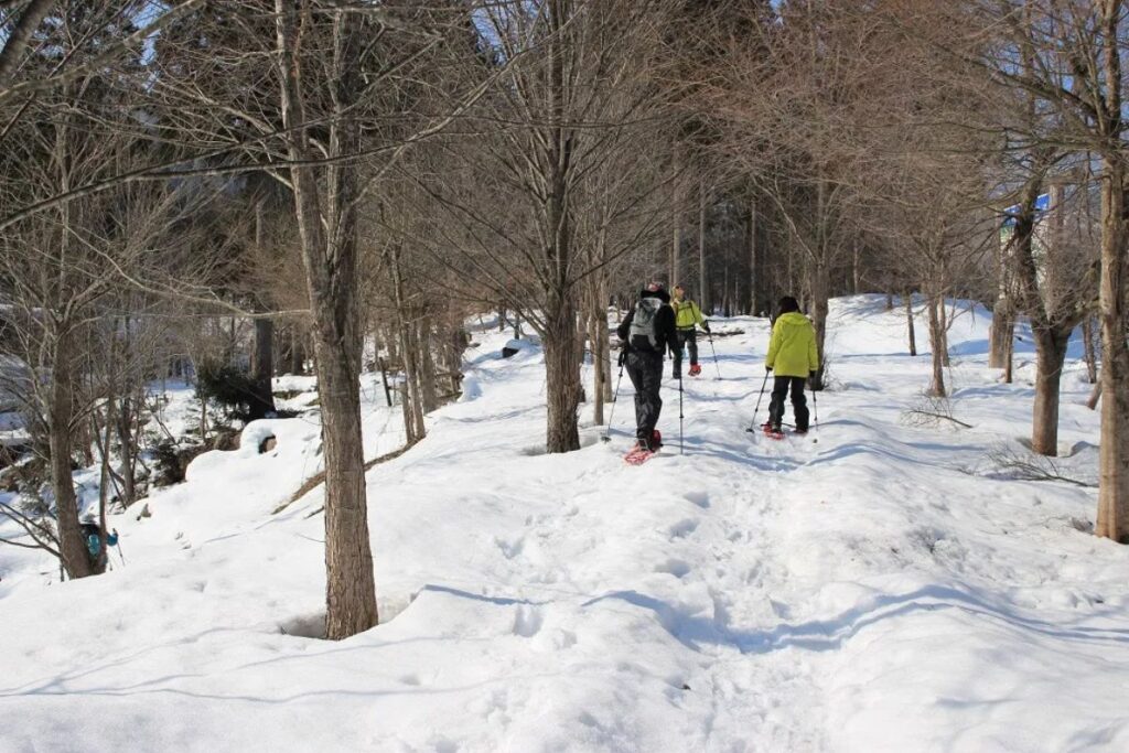 Beginners snowshoeing down a winter path through a snow-covered village field and tree setting.