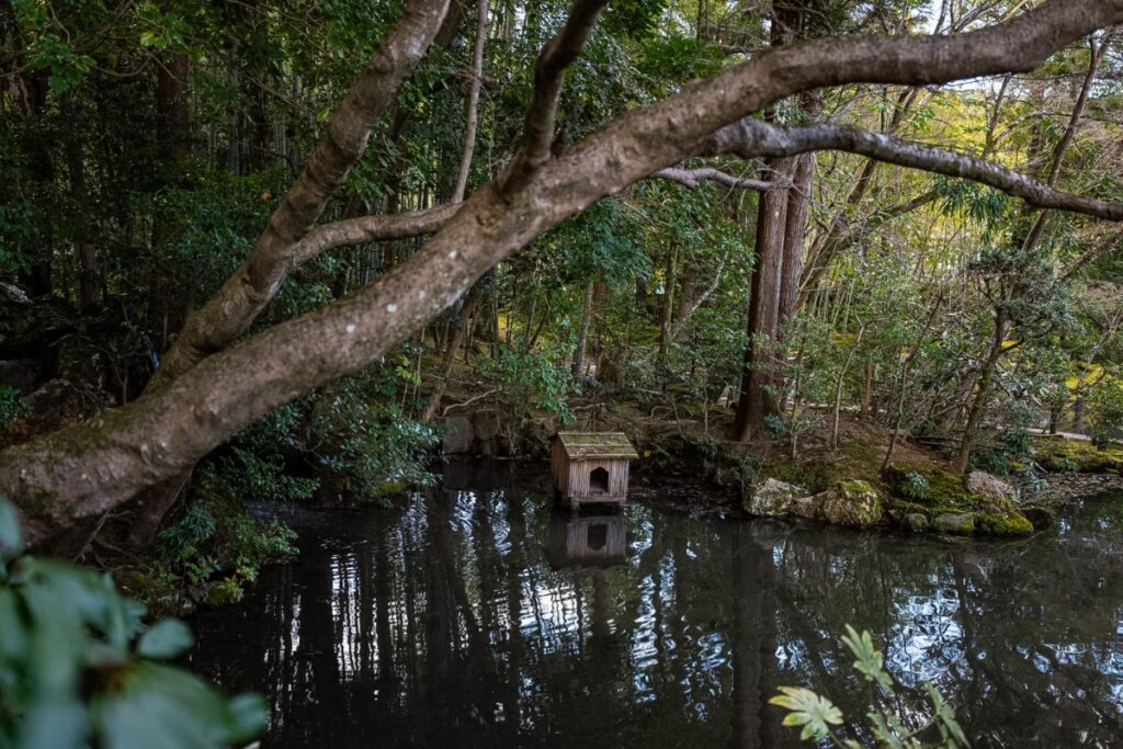 A serene reflection of dense trees on a dark pond with a small floating wooden shrine, showing nature-inspired design on this Kyoto private culture tour.