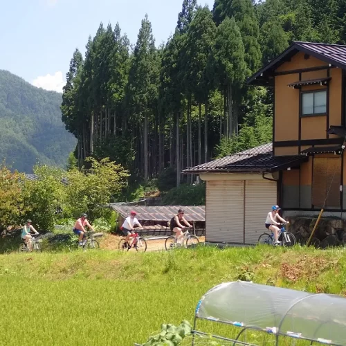 2b1bb59a-844a-4481-9898-66368defde77