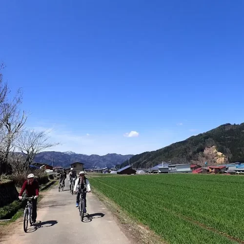 616236d7-b037-4801-8016-953b30234161