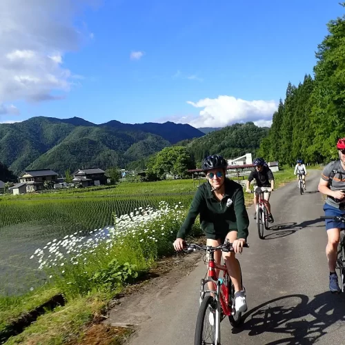 70eefae2-ac7d-43d1-9db3-cbf528e29d35