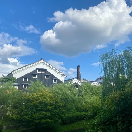 7ad5e5b1-49de-4d7d-817c-620312b08c50