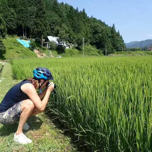 a3c41abd-3f07-48d8-b46e-797786a9d9f4