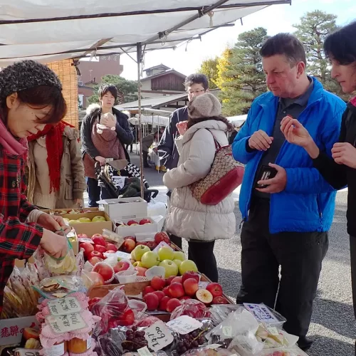 aecee7f1-5a5a-4fe9-b4af-6ba763572484