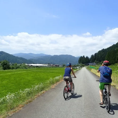 bc90f7ce-f6cb-4dec-944b-31c2dd225d52