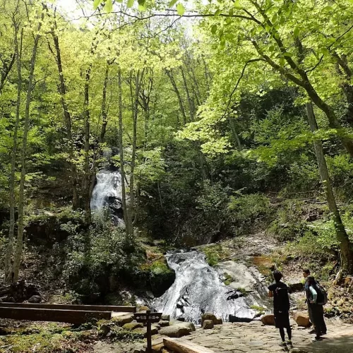 d262dbef-0358-4ac7-99de-f50517db4358