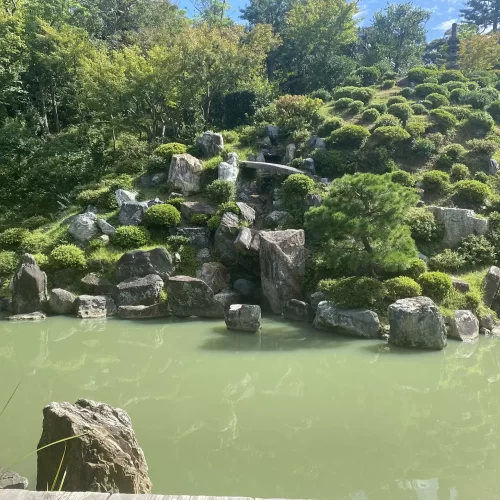 d3dc42ba-ad0d-4af6-8f74-927c1e4aa754