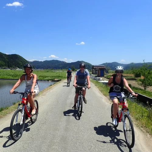 dbed9973-c054-4676-baa3-1c017c6e00bd