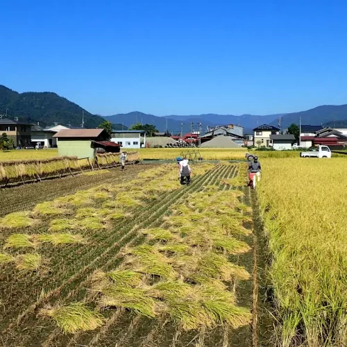 f34eede2-3c3f-484a-87f5-35d8957082a6